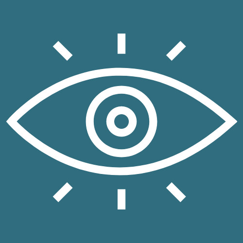 visietraject-mgz-functie-2030.jpg
